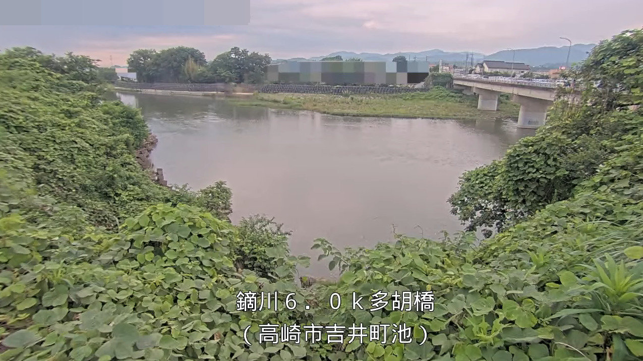 鏑川多胡橋ライブカメラ(群馬県高崎市吉井町岩崎)