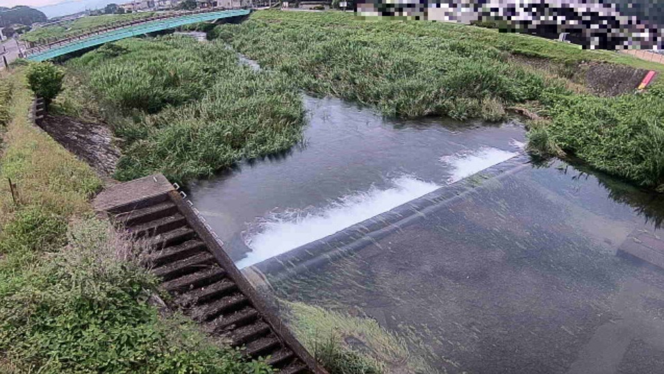 葛野川成松橋ライブカメラ(兵庫県丹波市氷上町成松)