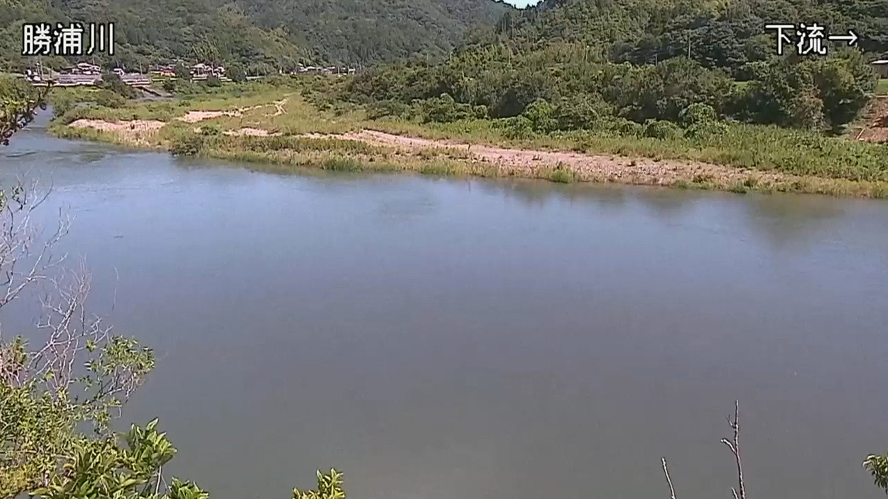 勝浦川飯谷町ライブカメラ(徳島県徳島市飯谷町)