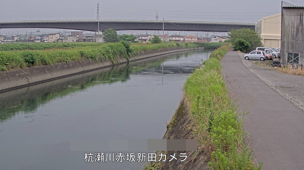 杭瀬川赤坂新田ライブカメラ(岐阜県大垣市赤坂新田)