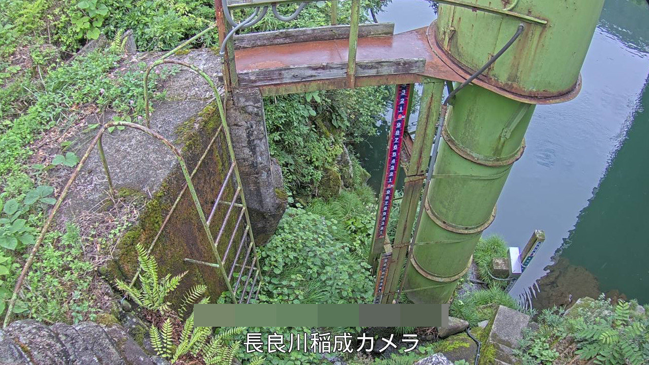 長良川八幡町稲成ライブカメラ(岐阜県郡上市八幡町稲成)
