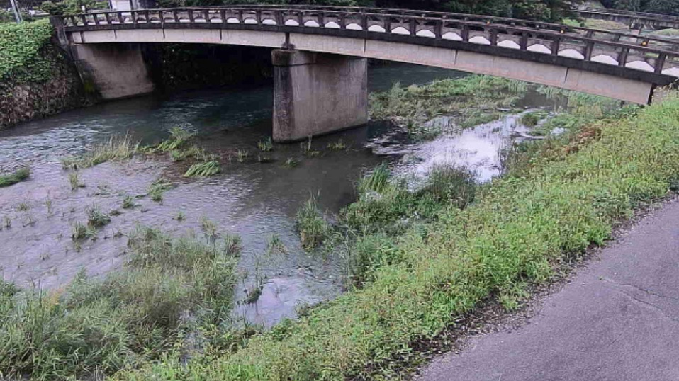野間川野間橋ライブカメラ(兵庫県多可町八千代区下野間)