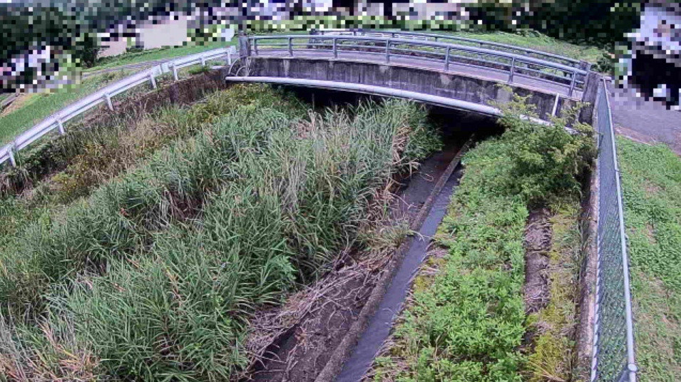 大谷川堂成口橋ライブカメラ(兵庫県丹波市春日町上三井庄)