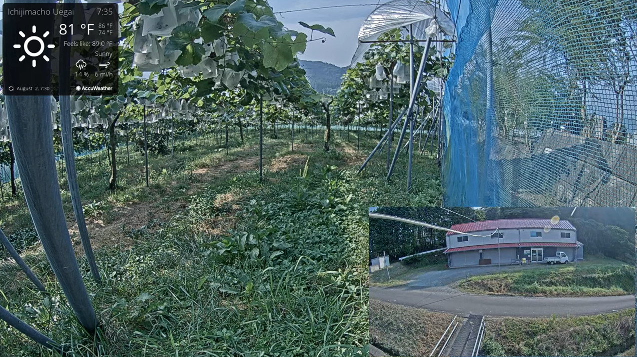 三ッ塚観光ブドウ園ライブカメラ(兵庫県丹波市市島町上垣) ライブカメラDB 三ッ塚観光ブドウ園ライブカメラ(兵庫県丹波市市島町上垣) ライブカメラDB