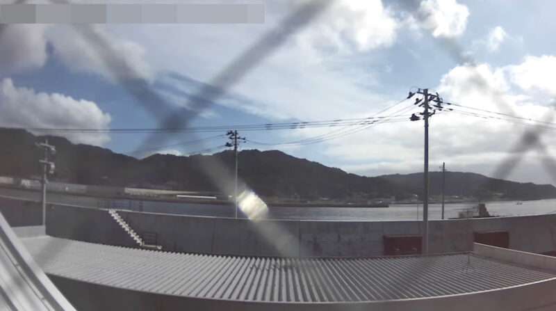 ナカショク大槌湾ライブカメラ(岩手県大槌町小鎚)