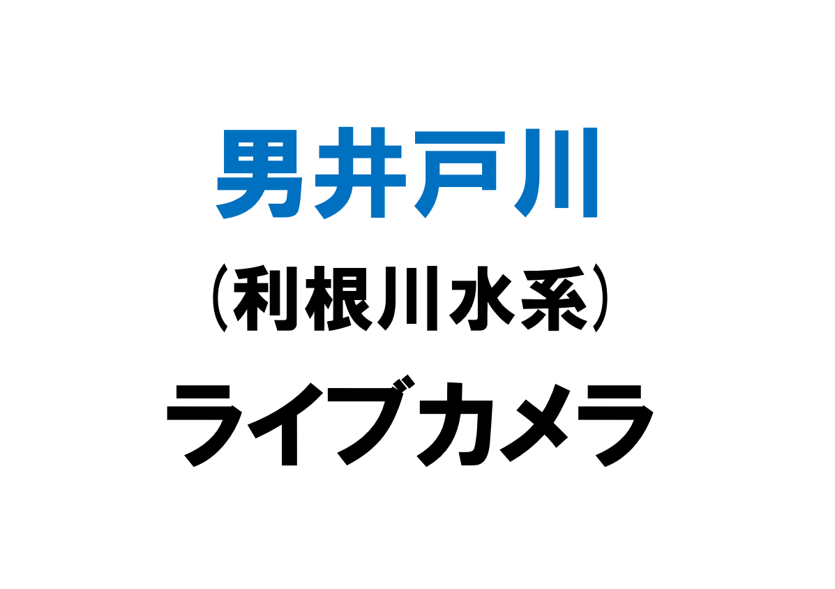 男井戸川(利根川水系)ライブカメラ一覧