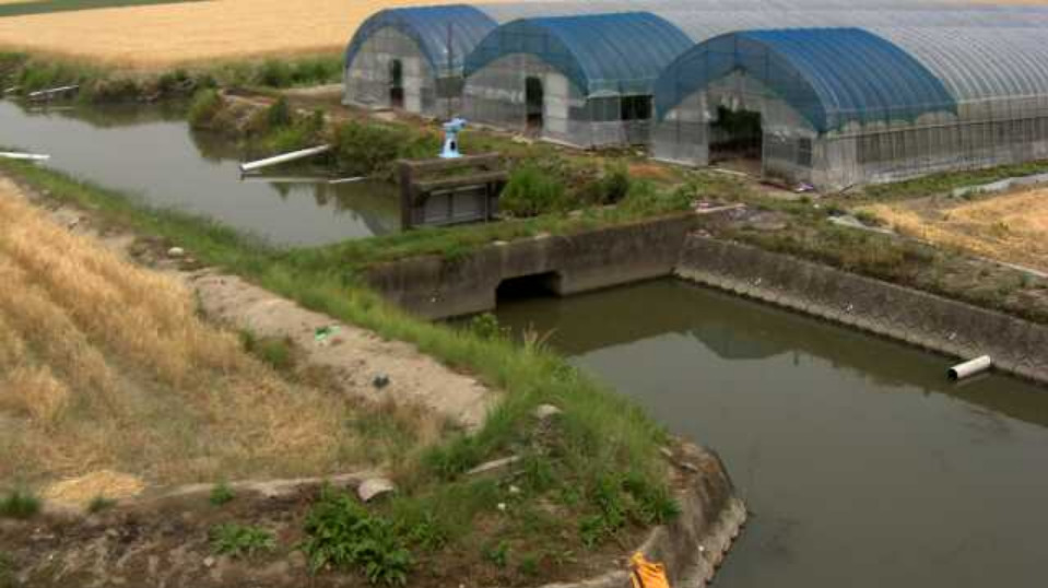 八田江川立野樋管ライブカメラ(佐賀県佐賀市東与賀町下古賀)