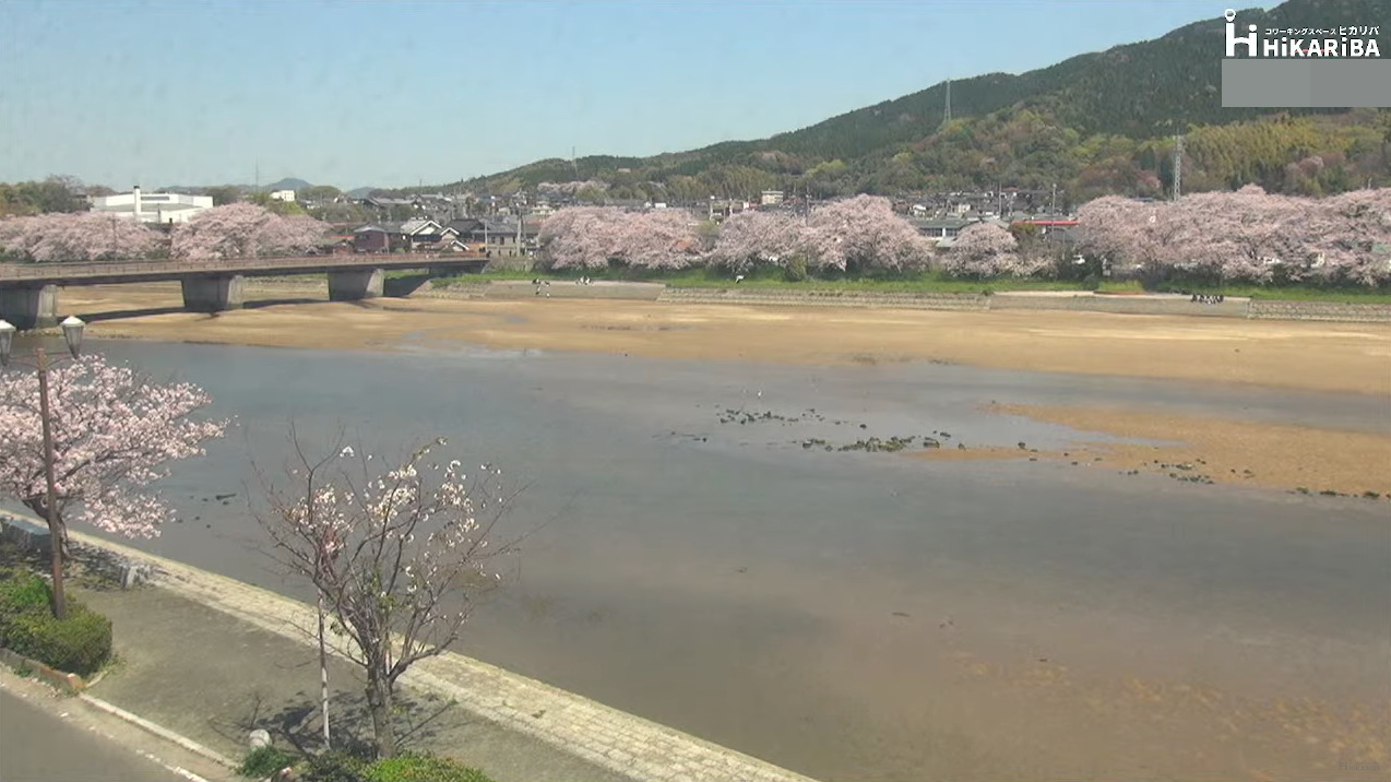 コワーキングスペースヒカリバ島田川ライブカメラ(山口県光市浅江)