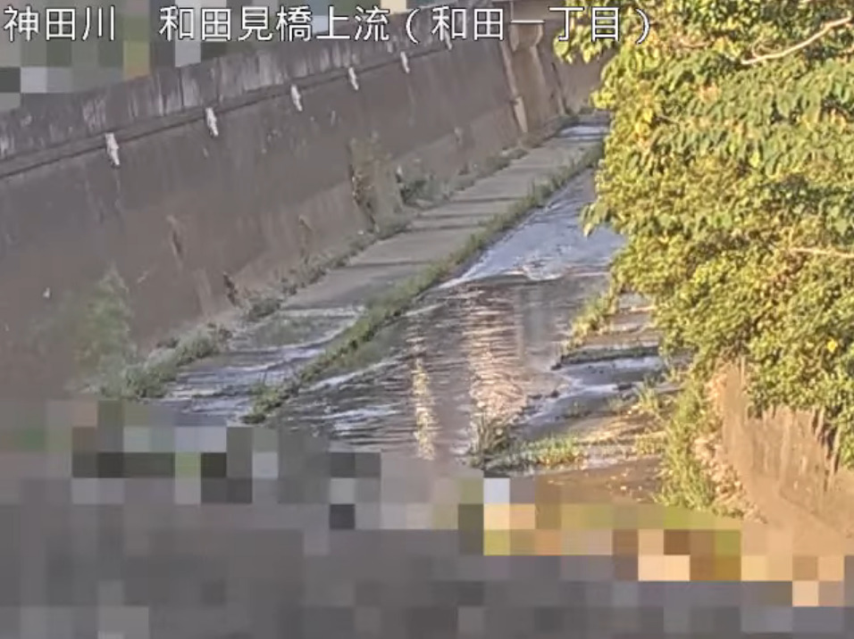 神田川和田見橋上流ライブカメラ(東京都杉並区和田)