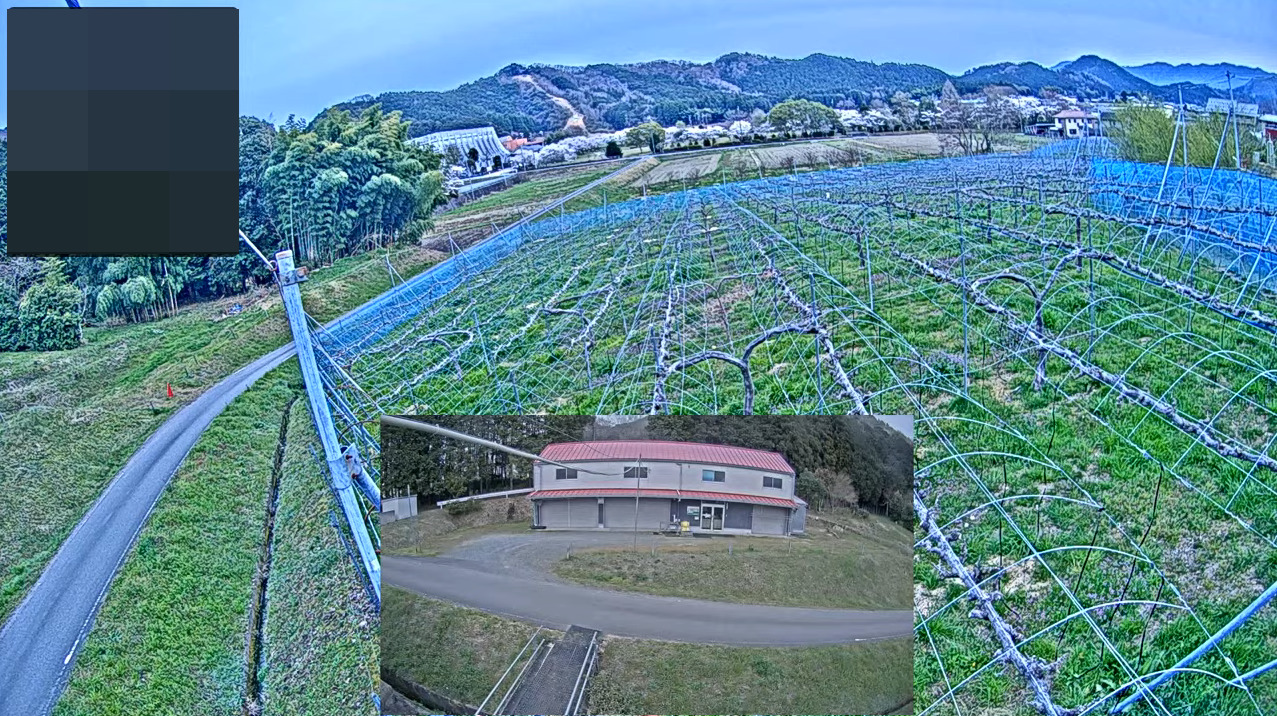 三ッ塚観光ブドウ園ライブカメラ(兵庫県丹波市市島町上垣)