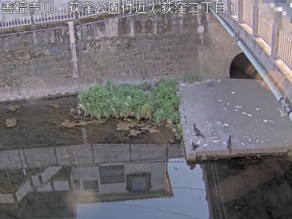 善福寺川荻窪公園付近ライブカメラ(東京都杉並区荻窪)