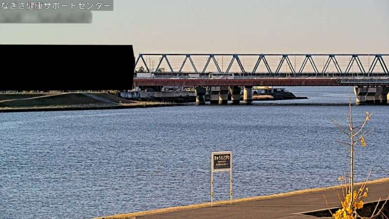 東京湾高潮なぎさ健康サポートセンターライブカメラ(東京都江戸川区南葛西)