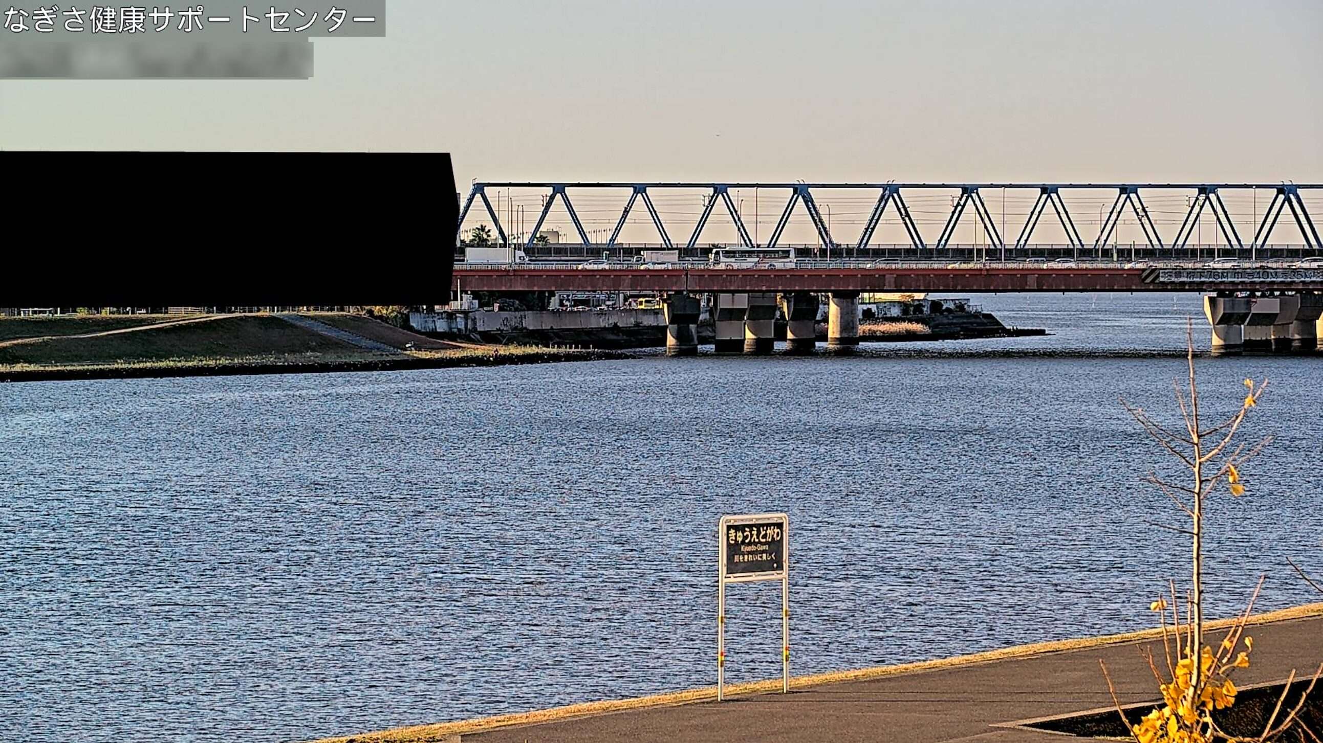 東京湾高潮なぎさ健康サポートセンターライブカメラ(東京都江戸川区南葛西)