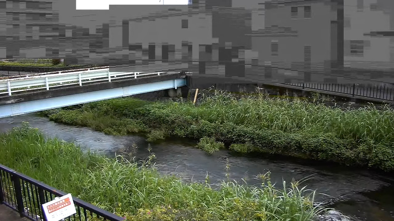 黒目川下田橋ライブカメラ(東京都東久留米市小山)