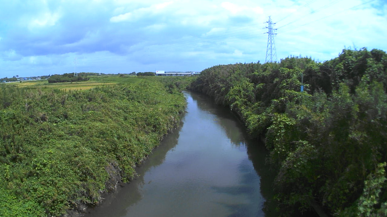 南白亀川九十根ライブカメラ(千葉県大網白里市九十根)