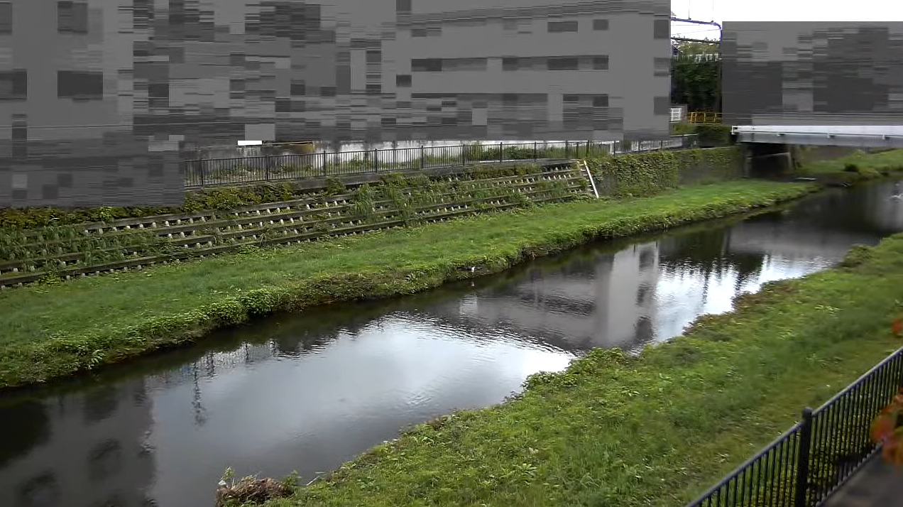 野川馬橋ライブカメラ(東京都調布市国領町)