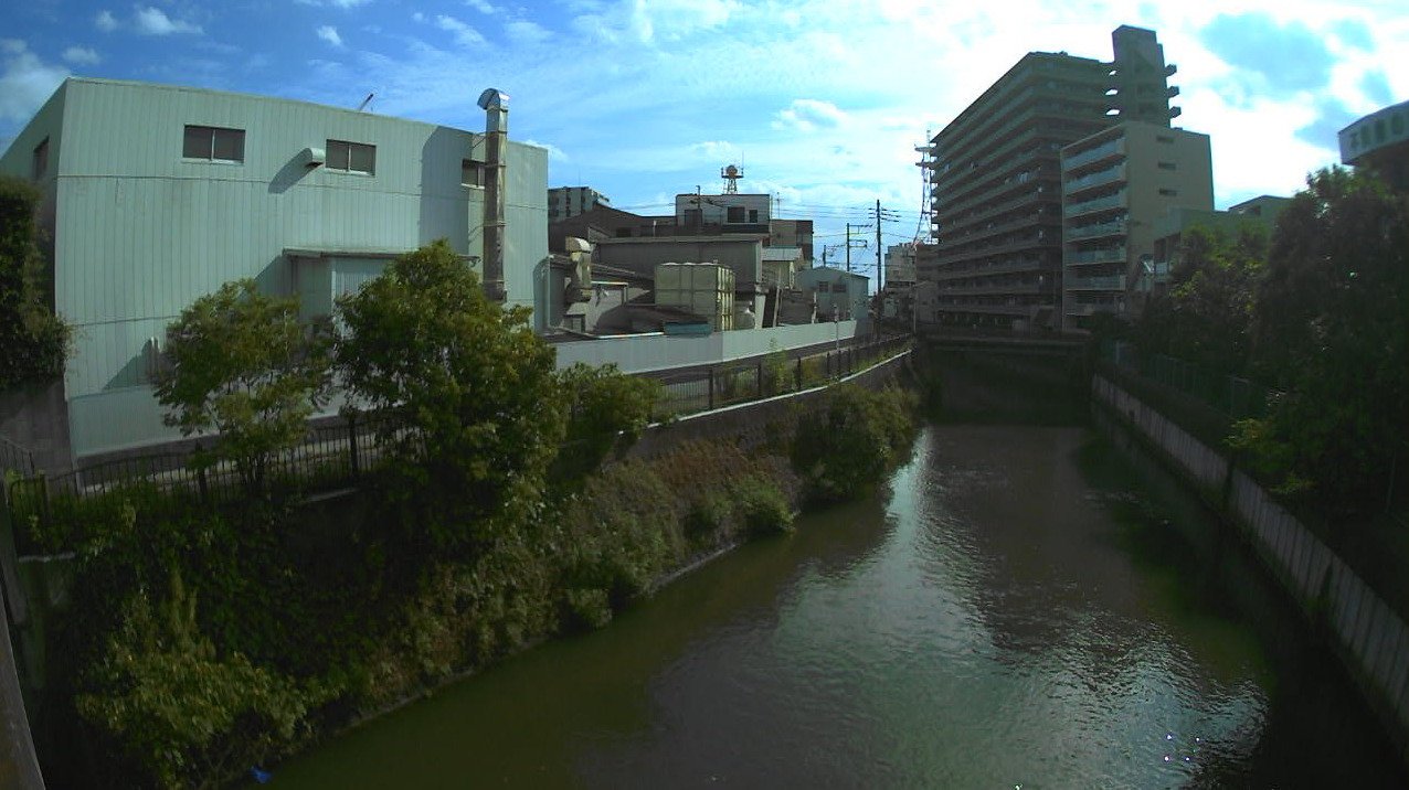 新坂川根本ライブカメラ(千葉県松戸市根本)