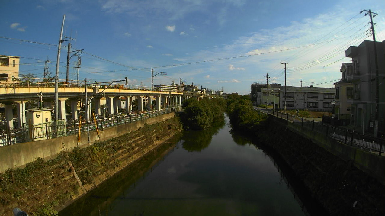 新坂川新松戸ライブカメラ(千葉県松戸市新松戸)