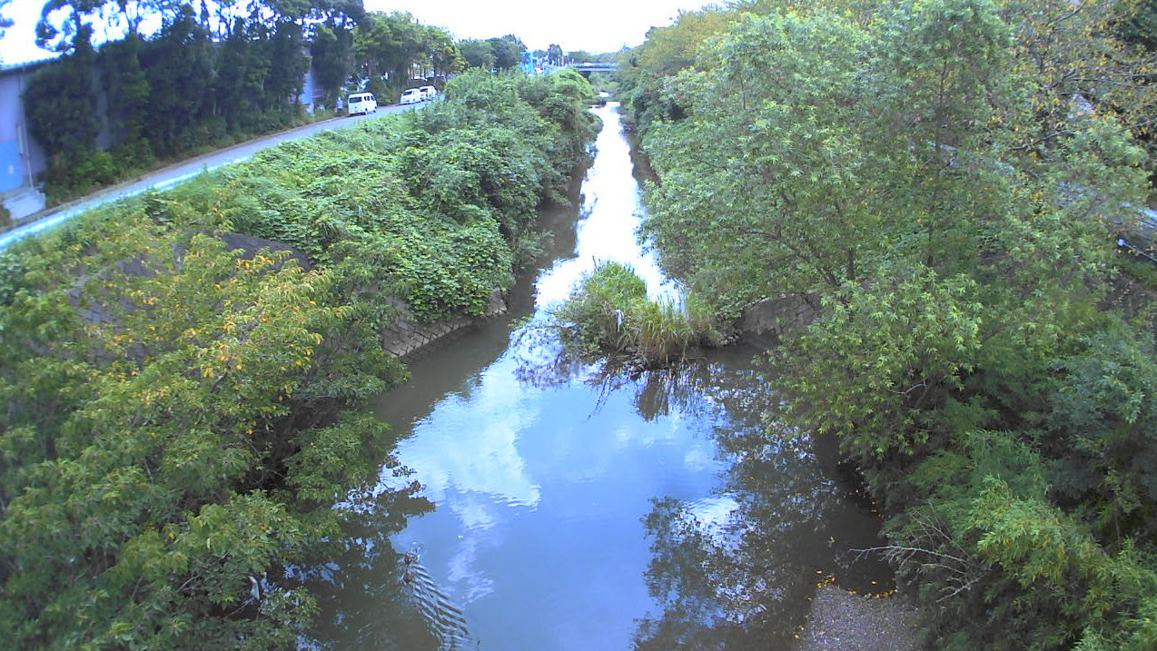 矢那川木更津ライブカメラ(千葉県木更津市請西)