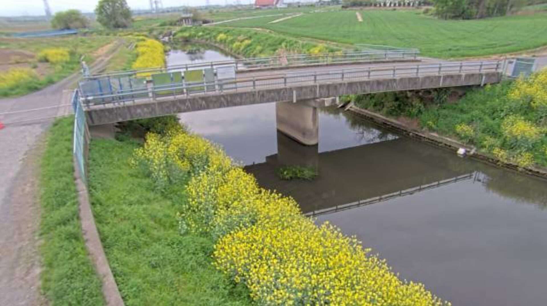 飯盛川萩野2号橋観測局ライブカメラ(埼玉県坂戸市小沼)
