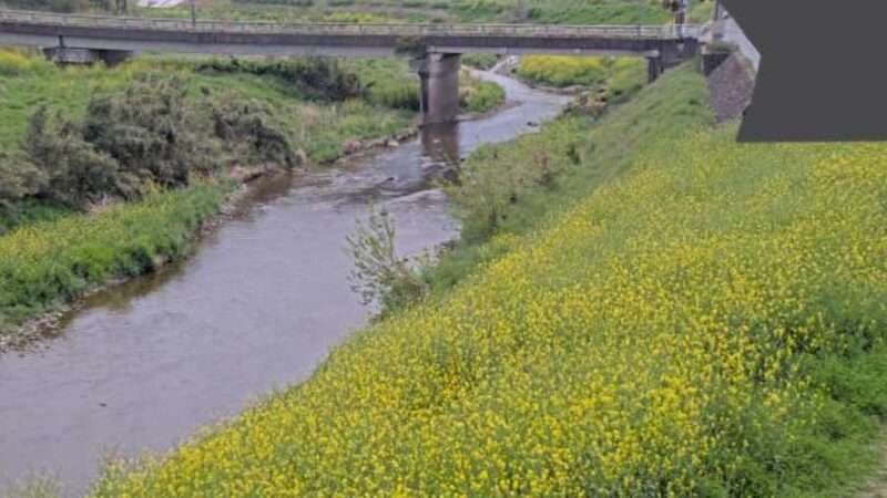 越辺川今川橋観測局ライブカメラ(埼玉県鳩山町赤沼)