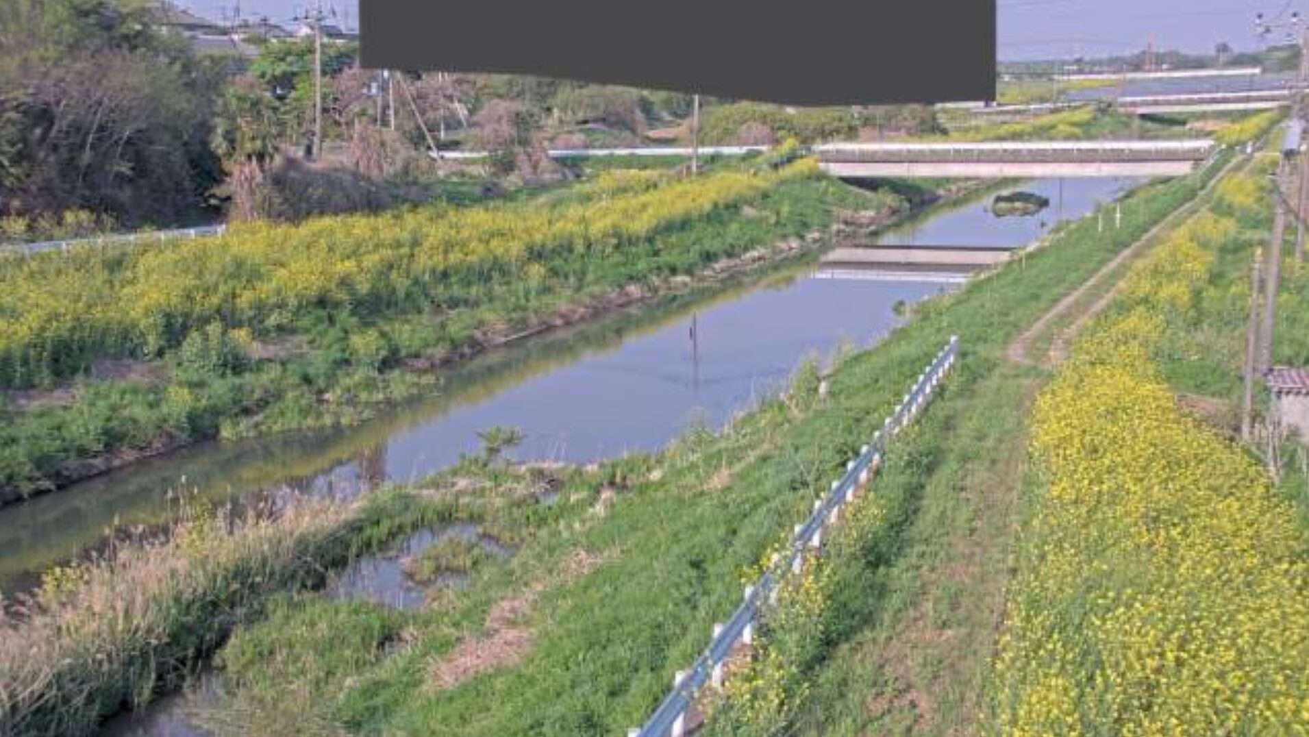 九十九川新九十九橋観測局ライブカメラ(埼玉県東松山市宮鼻)