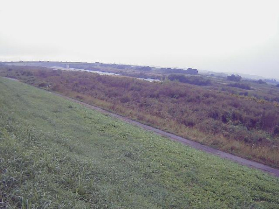 荒川73.6KP左岸ライブカメラ(埼玉県熊谷市久下)