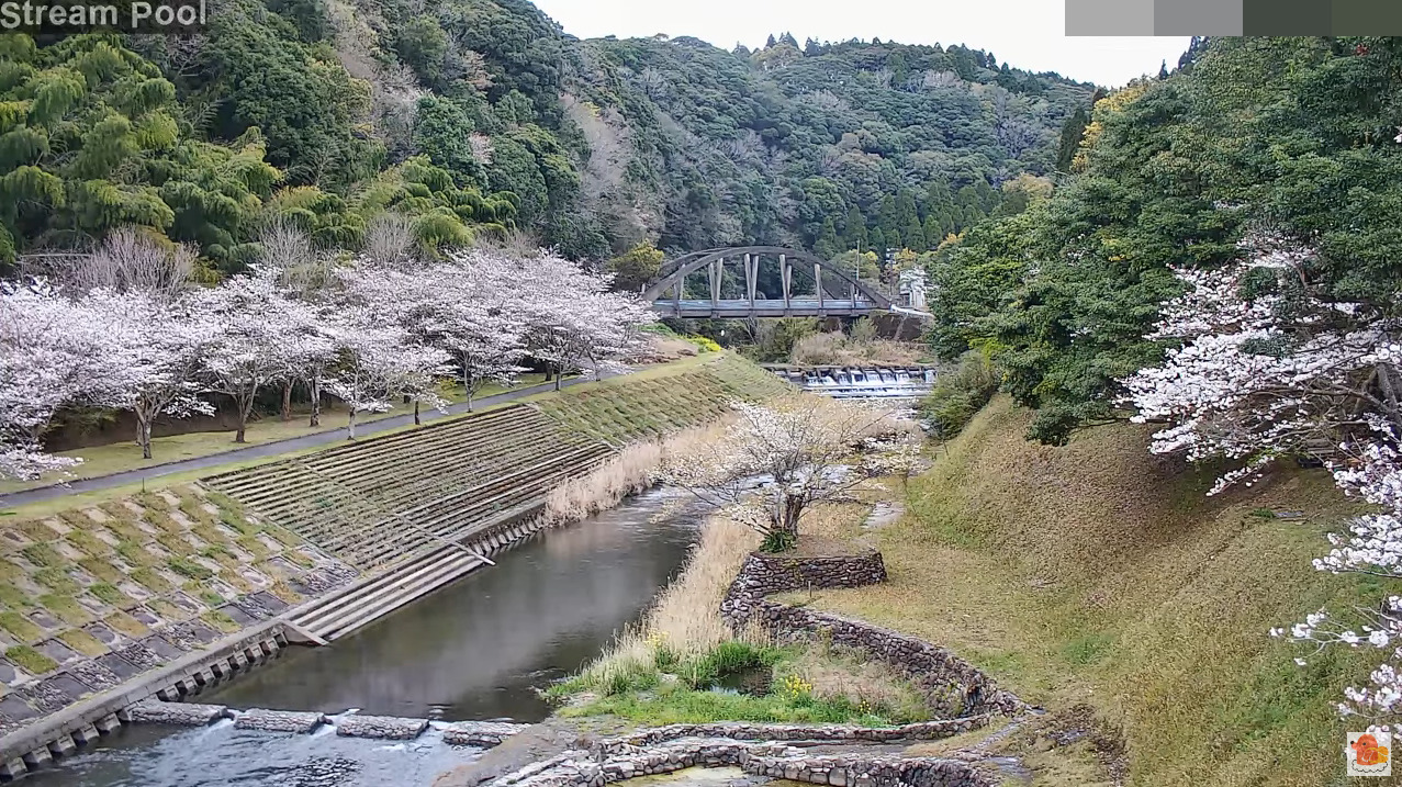 岩屋公園キャンプ場ライブカメラ(鹿児島県南九州市川辺町清水)