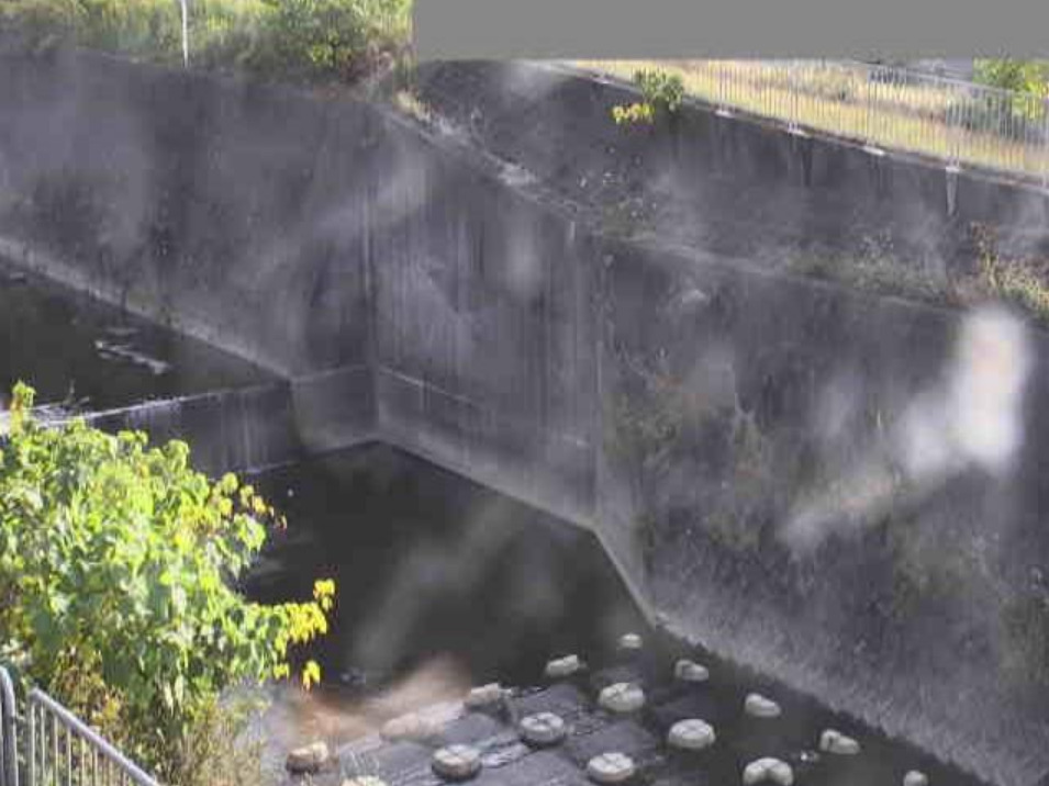 松尾川新緑田橋ライブカメラ(大阪府和泉市小田町)