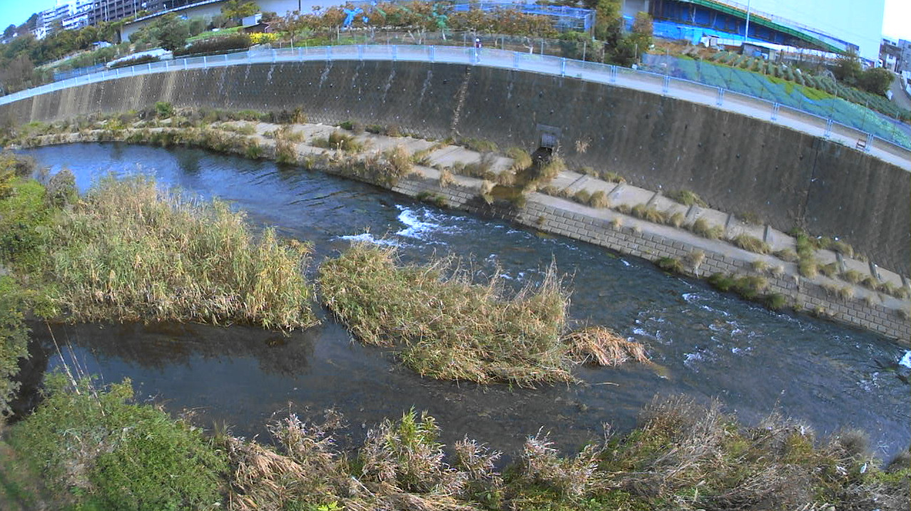 恩田川岩川合流点ライブカメラ(神奈川県横浜市緑区)