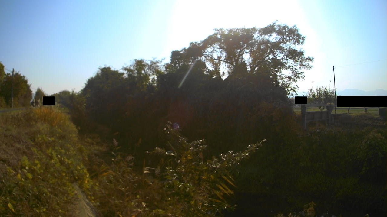 吉田川吉田川1号橋ライブカメラ(香川県高松市十川東町)