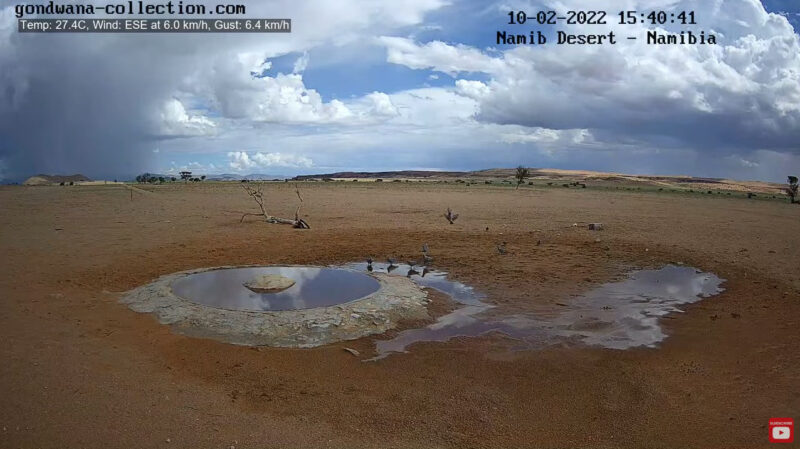 ナミブ砂漠ライブカメラの雨