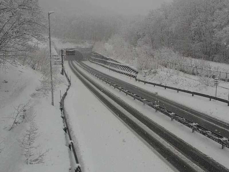 国道106号新区界トンネルライブカメラ(岩手県宮古市区界) 2026年4月2日 降雪