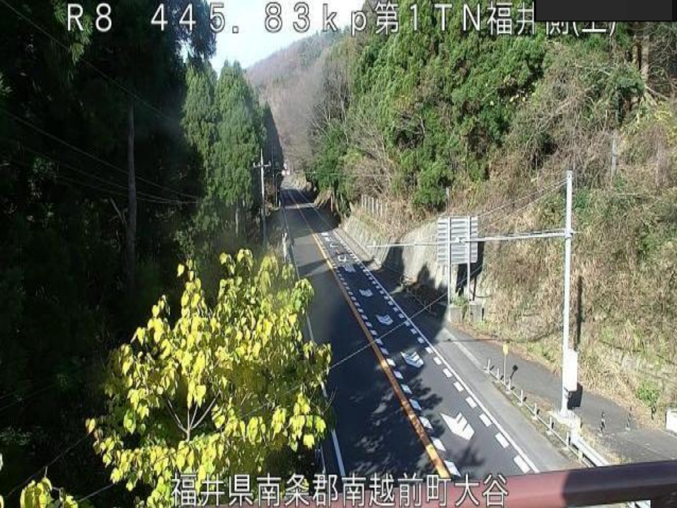 国道8号第1トンネル福井側ライブカメラ(福井県南越前町大谷)