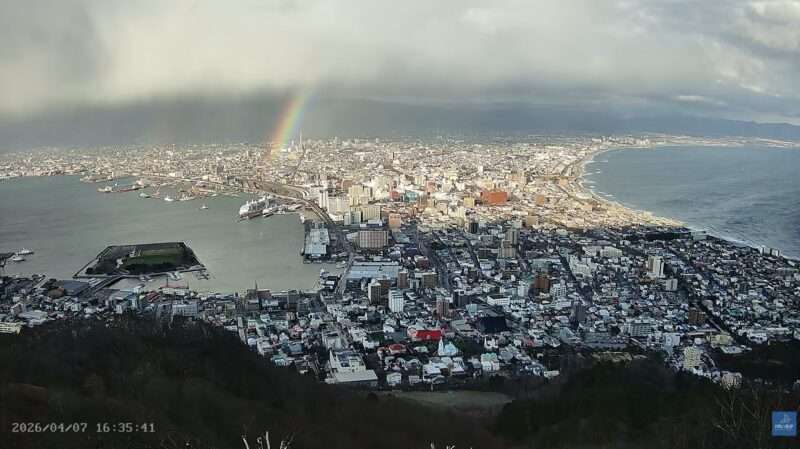 ๅฝ้คจๅฑฑใฉใคใใซใกใฉ(ๅๆตท้ๅฝ้คจๅธๅฝ้คจๅฑฑ) 2026ๅนด4ๆ7ๆฅ ๅฝ้คจๅธๅ
ใซๆถใใ่น