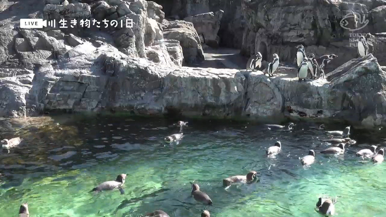 葛西臨海水族園ライブカメラ(東京都江戸川区臨海町)