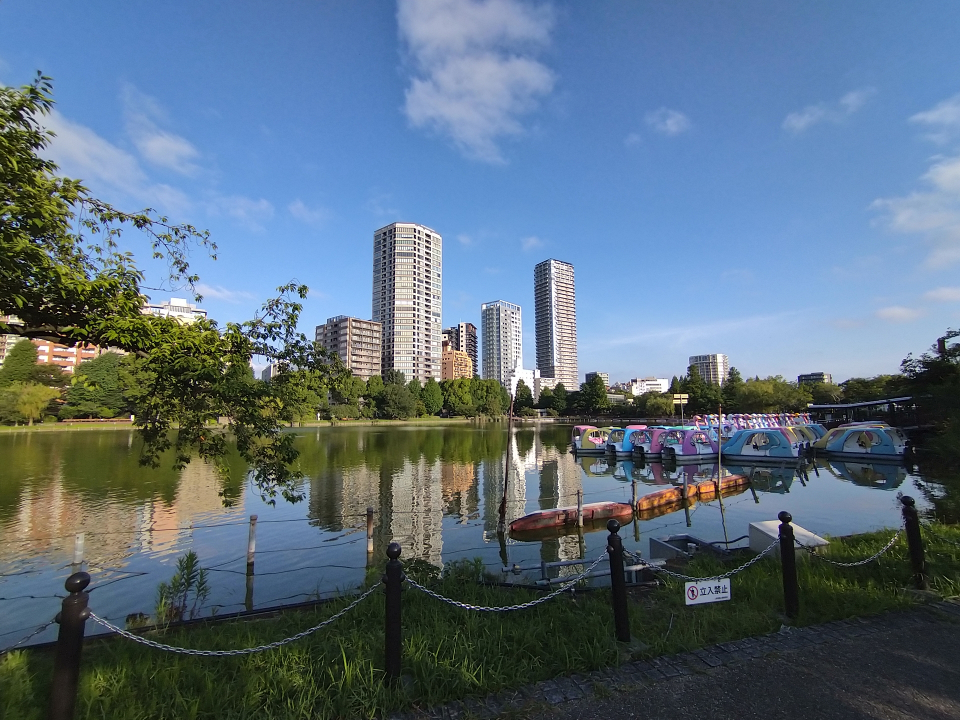 不忍池のライブカメラ一覧