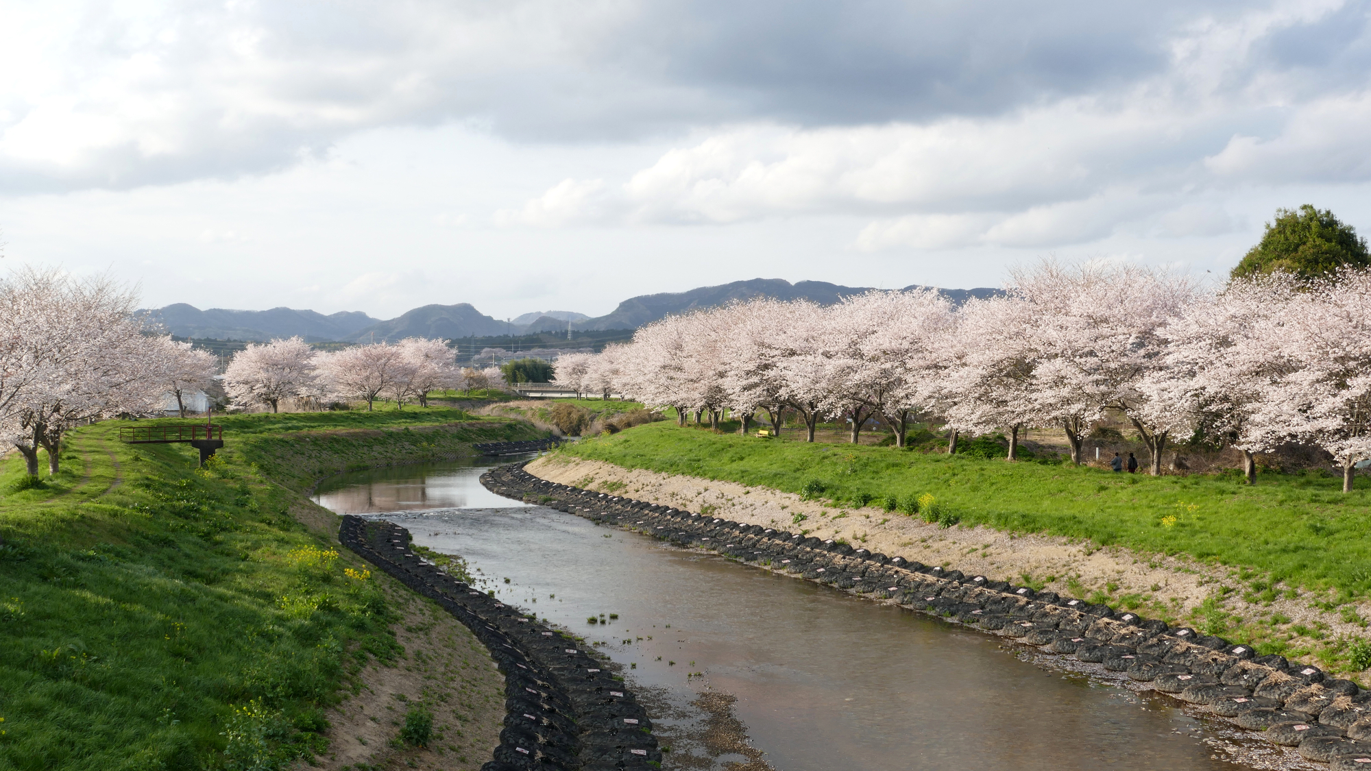 涸沼川(那珂川水系)ライブカメラ一覧