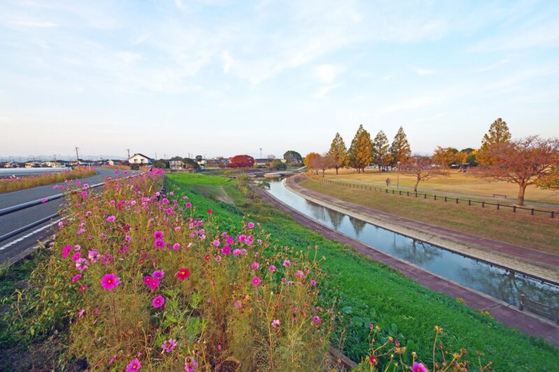 陣屋川(筑後川水系)ライブカメラ一覧