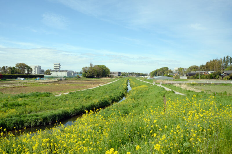 木戸川(木戸川水系)ライブカメラ一覧