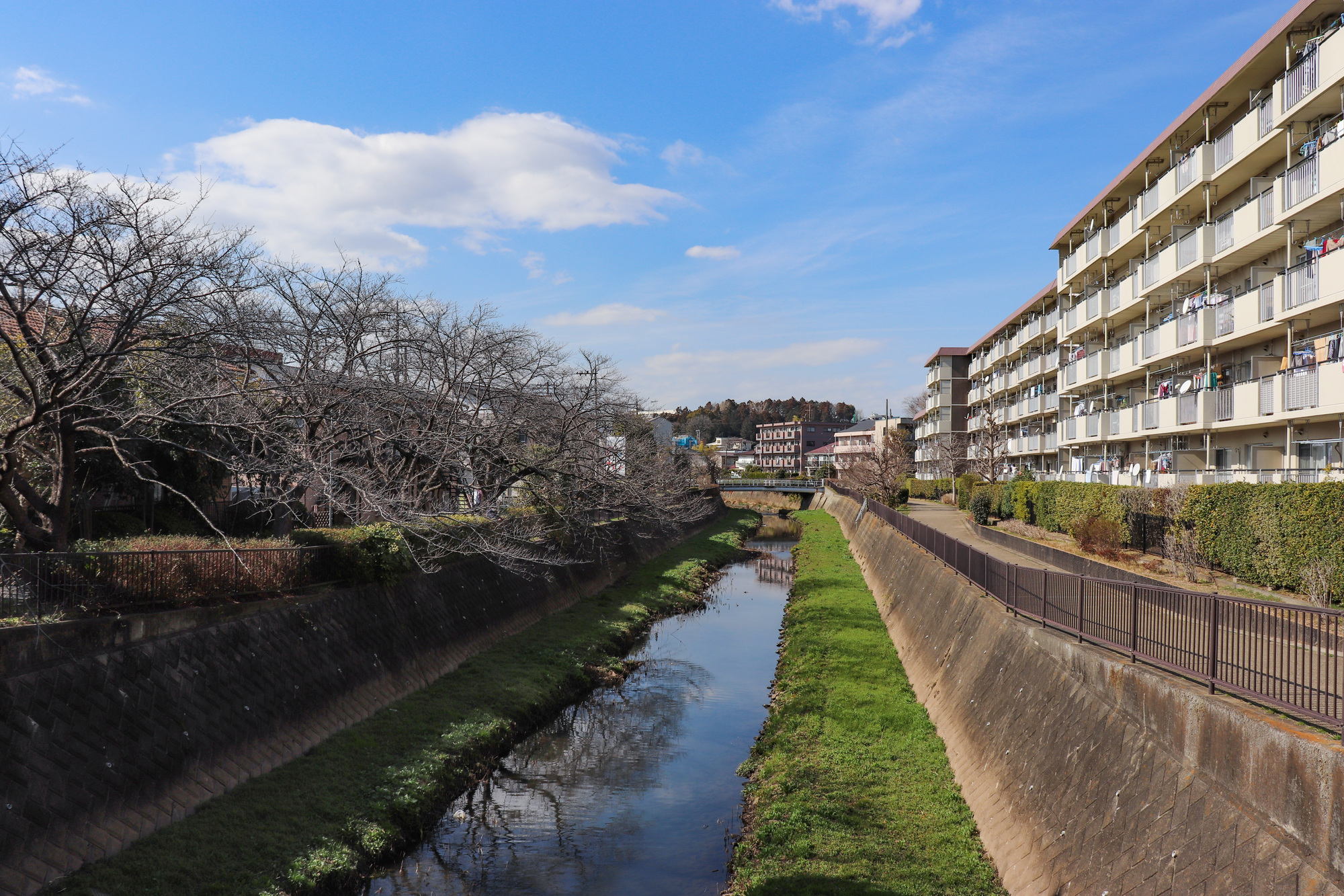阿久和川(境川水系)ライブカメラ一覧