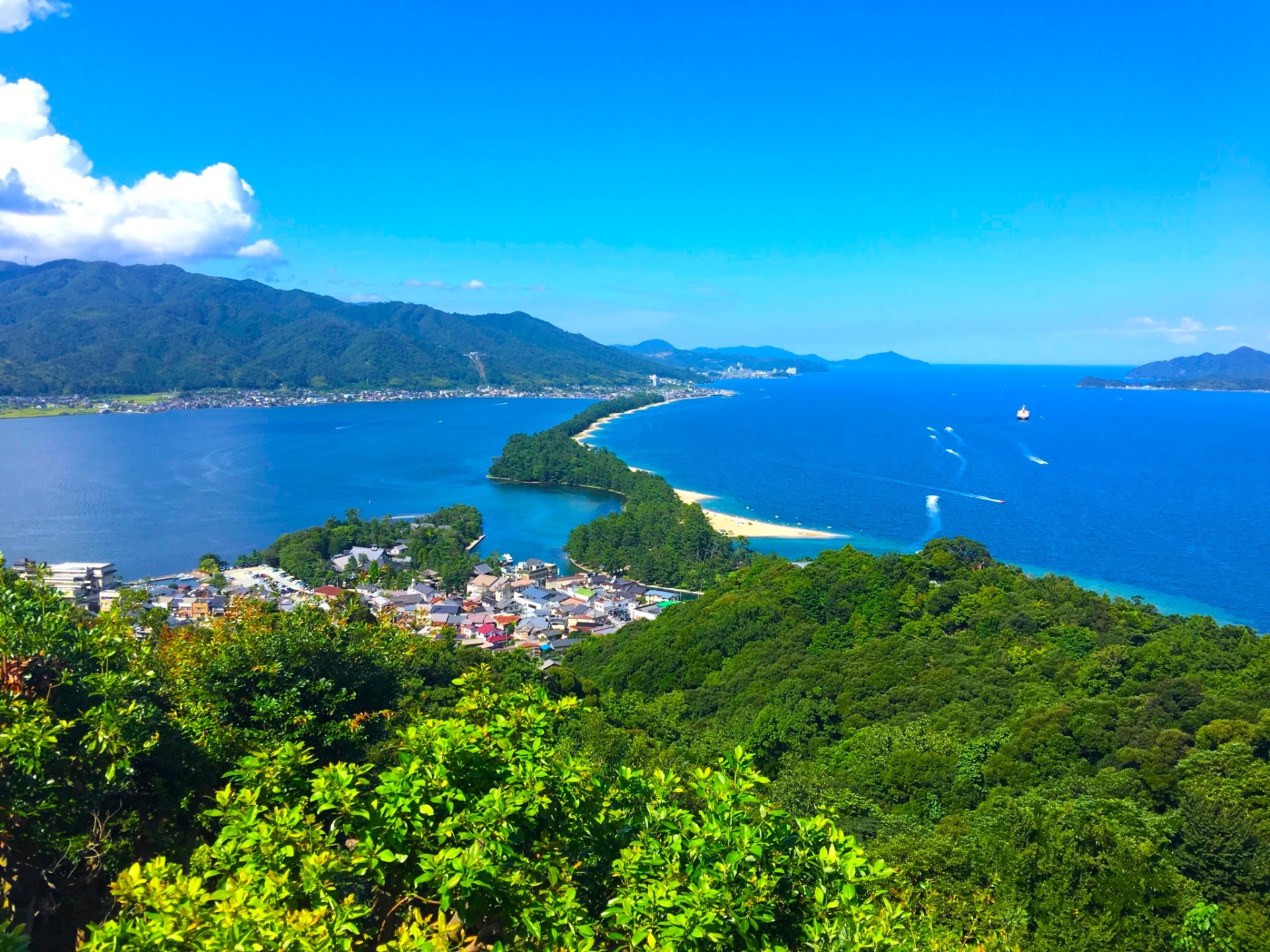 阿蘇海のライブカメラ一覧