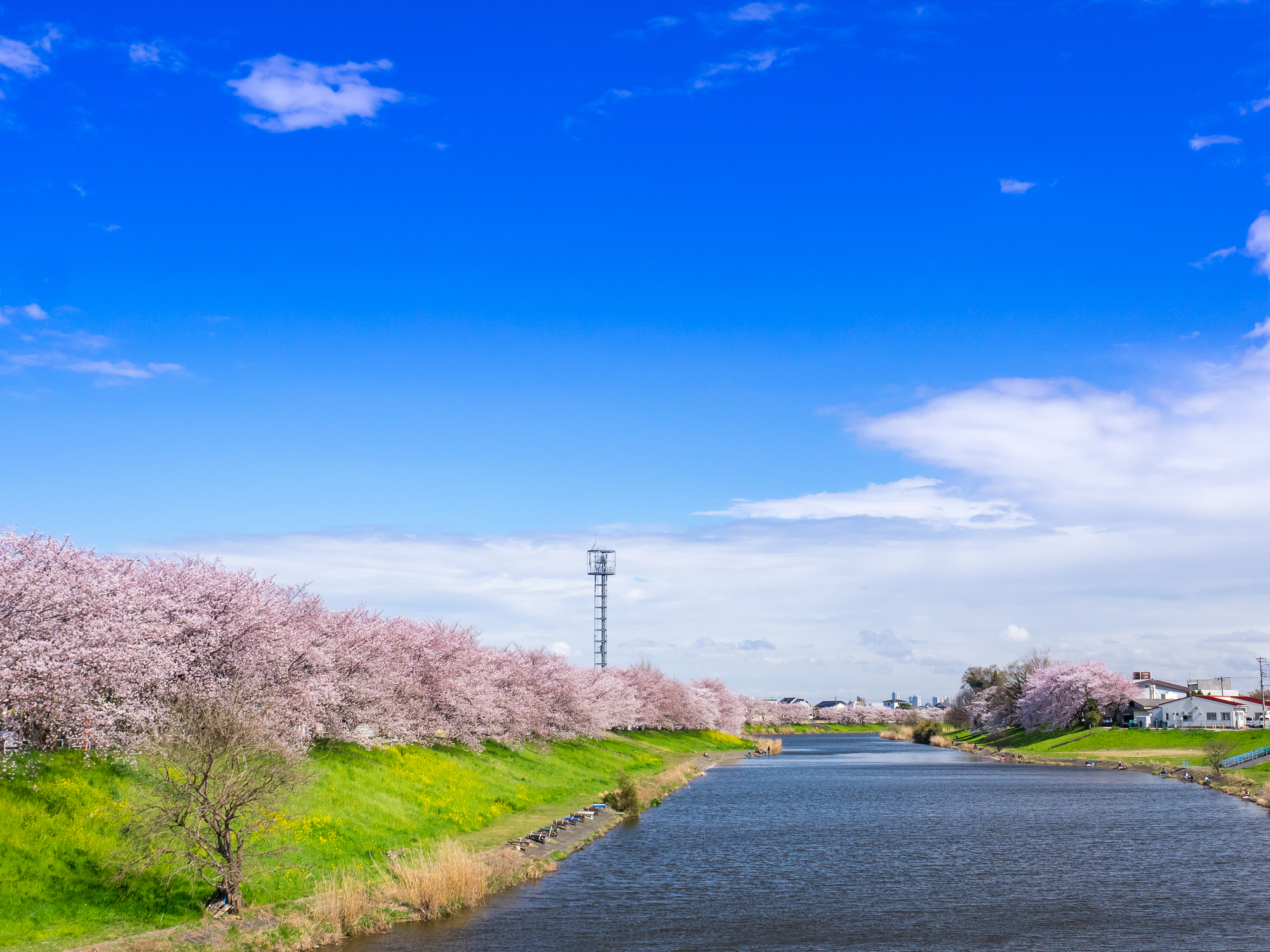 びん沼川(荒川水系)ライブカメラ一覧