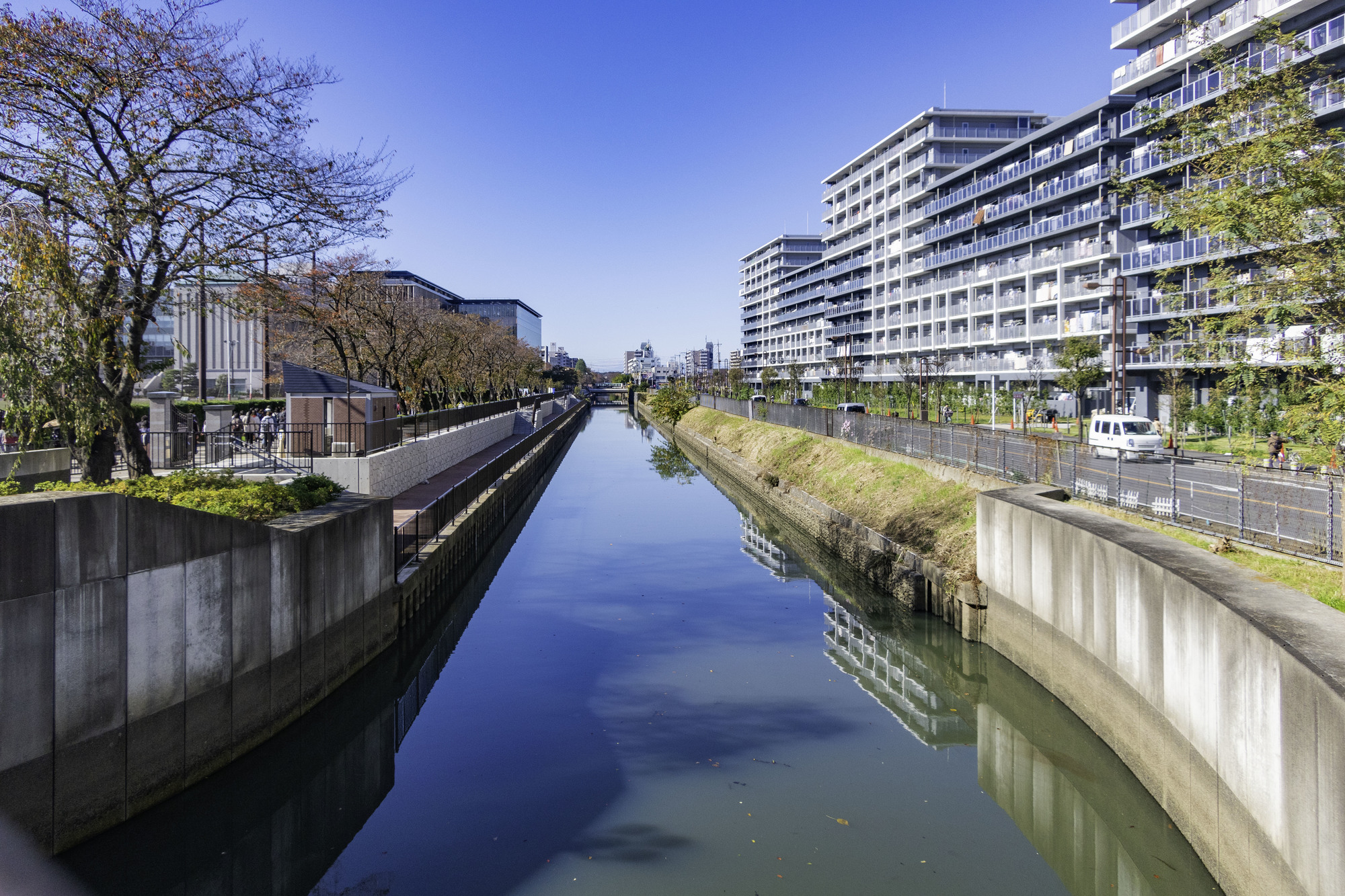 伝右川(利根川水系)ライブカメラ一覧