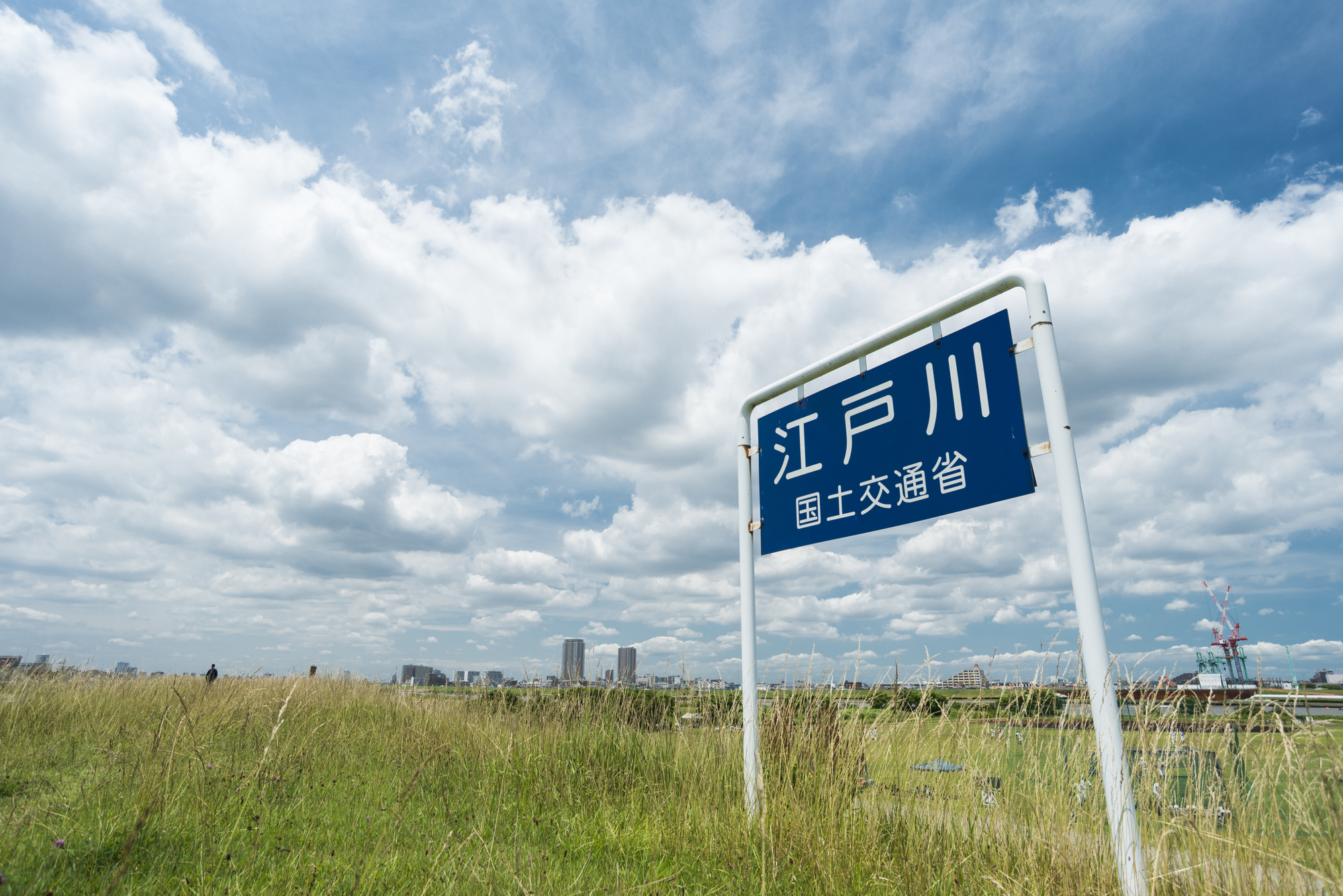 江戸川(利根川水系)ライブカメラ一覧