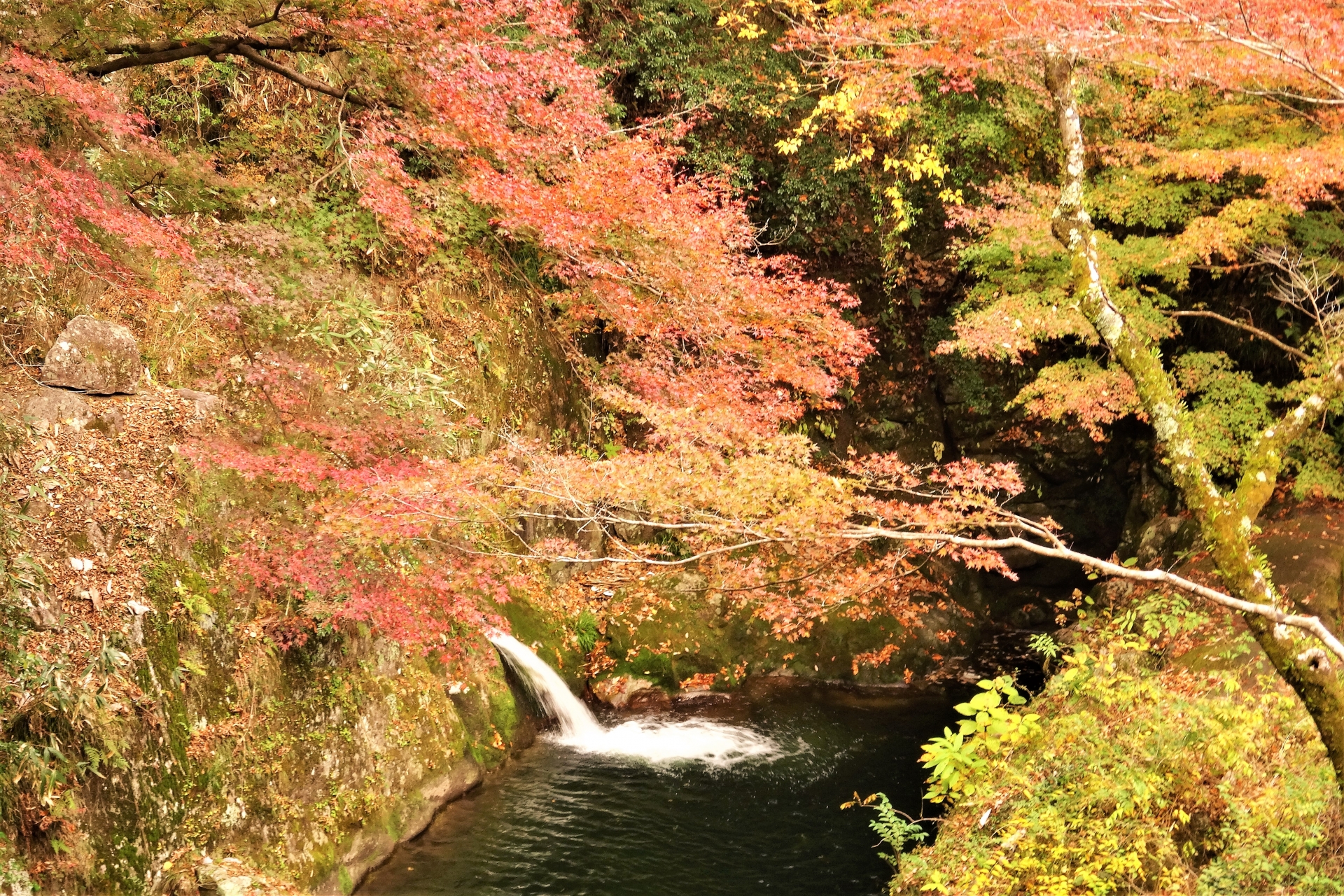 花貫川(花貫川水系)ライブカメラ一覧