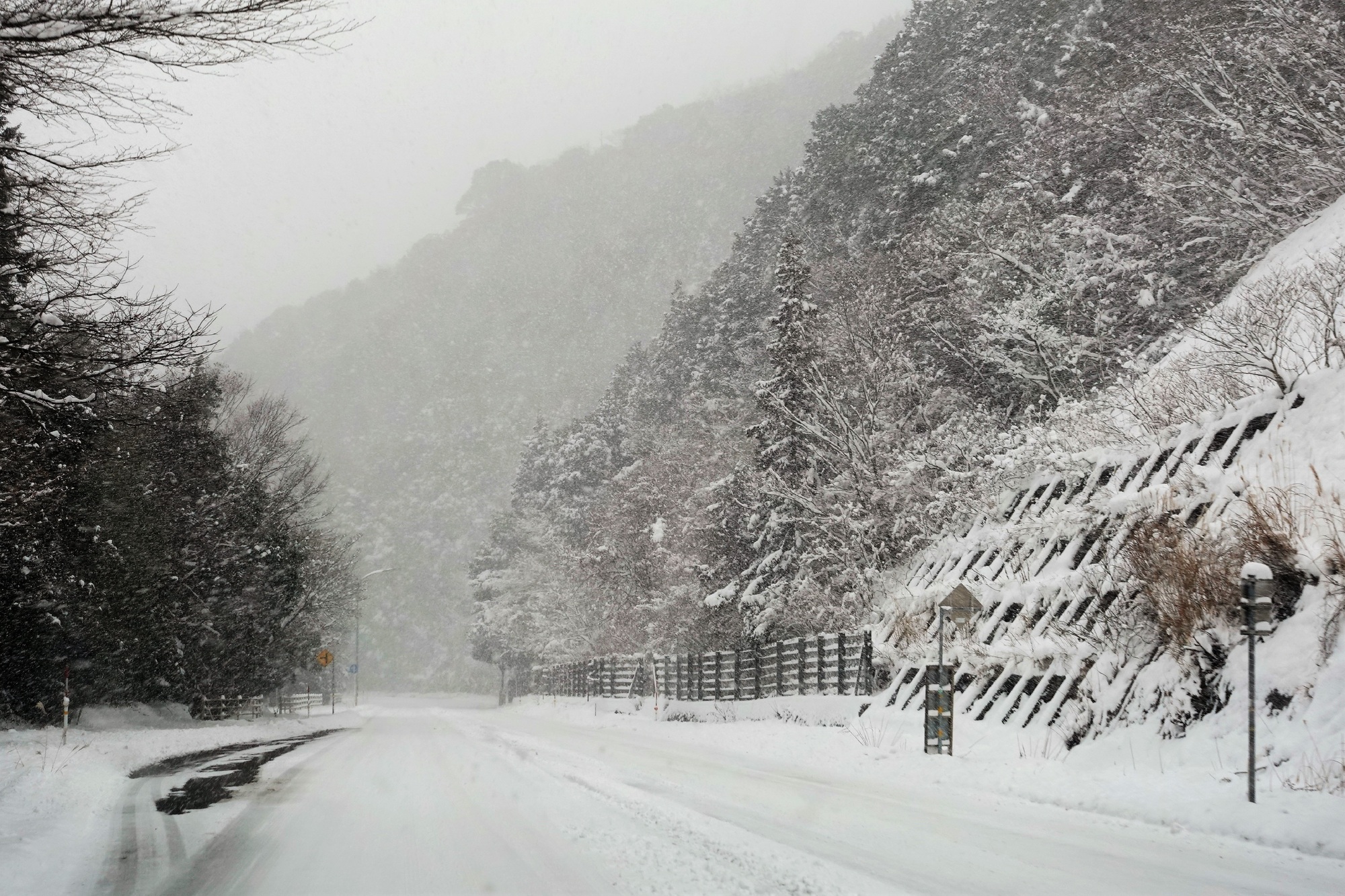 雲雀峠(山口県)ライブカメラ一覧