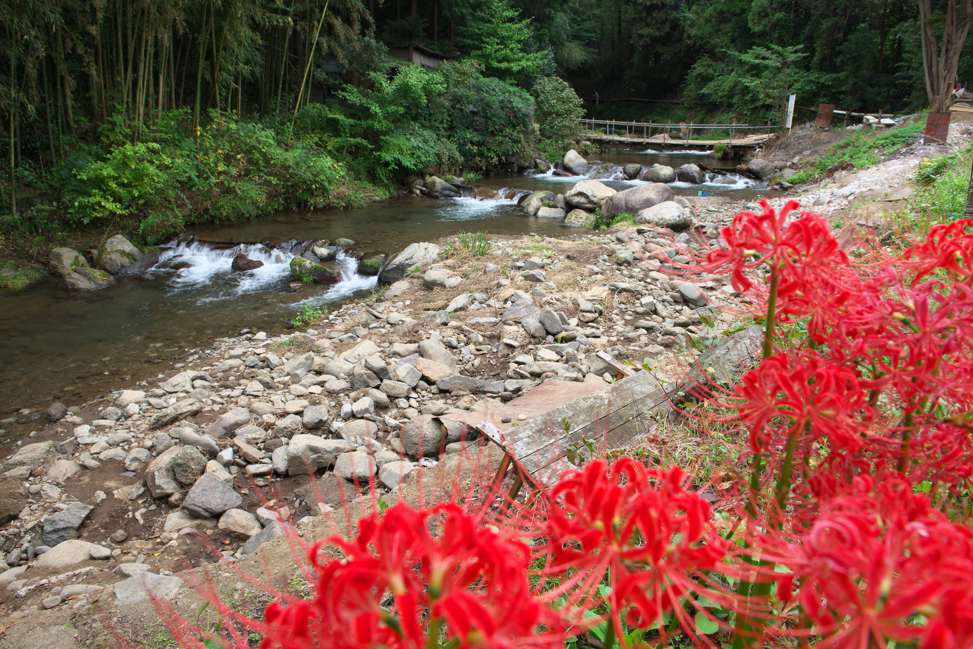 日向川(相模川水系)ライブカメラ一覧