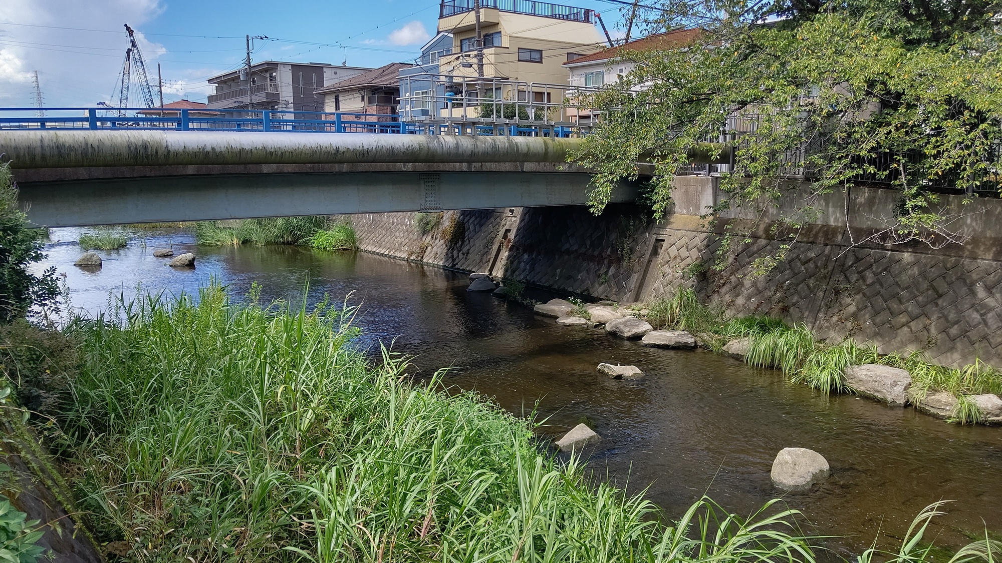 いたち川(境川水系)ライブカメラ一覧