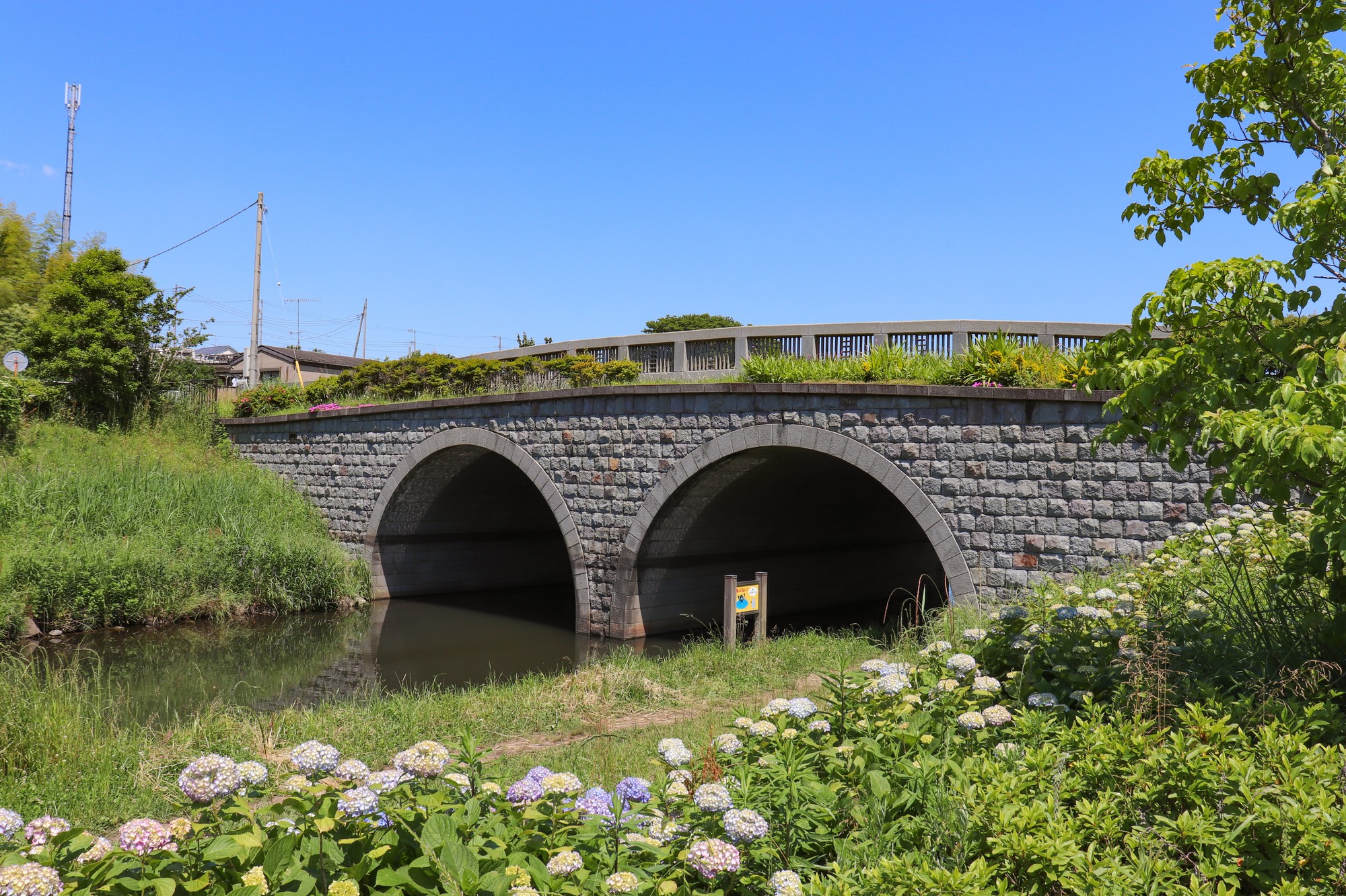 和泉川(境川水系)ライブカメラ一覧